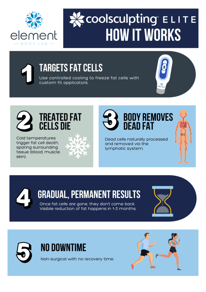 how coolsculpting works graphic