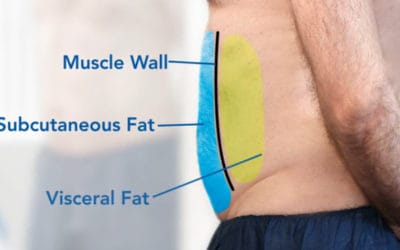 Understanding the Different Types of Fat Tissue In Your Body